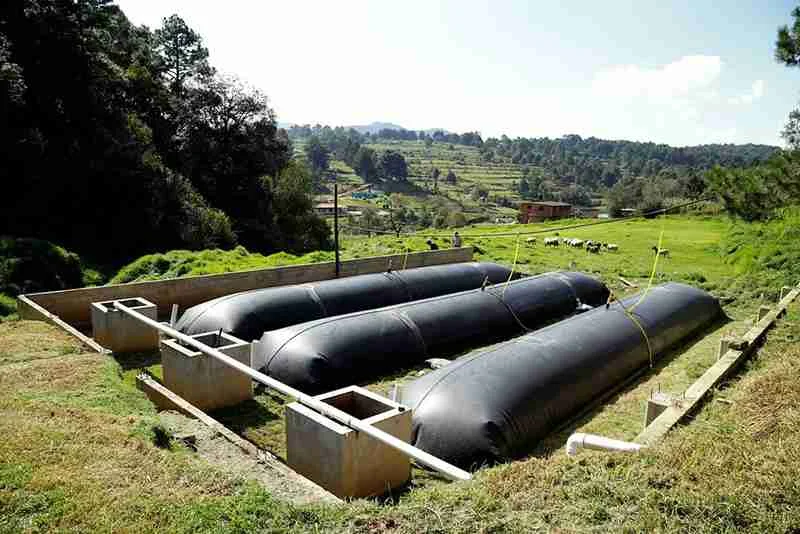 indigenous clean energy partnerships for biogas production